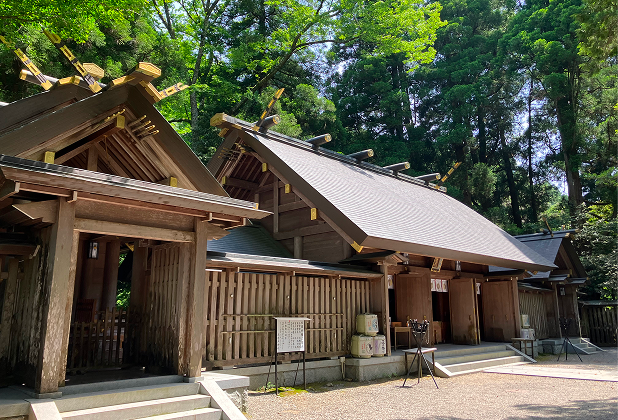 神社参拝から学ぶ