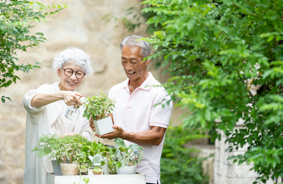 自然 – 庭の小さな発見